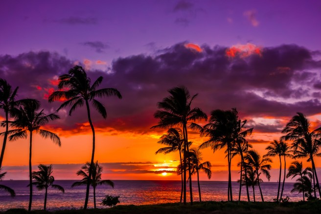 hawaiian-sunset